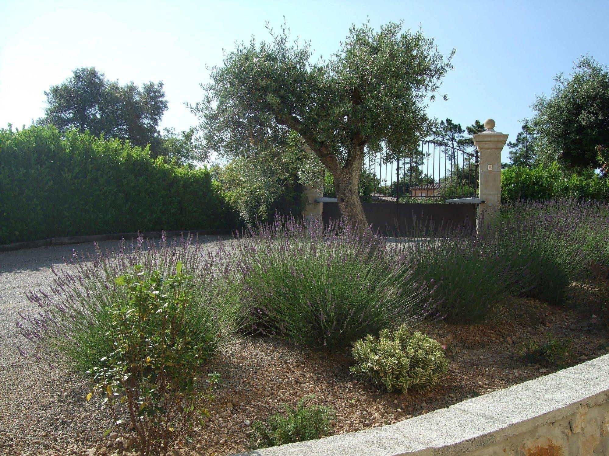 Verdi Montauroux